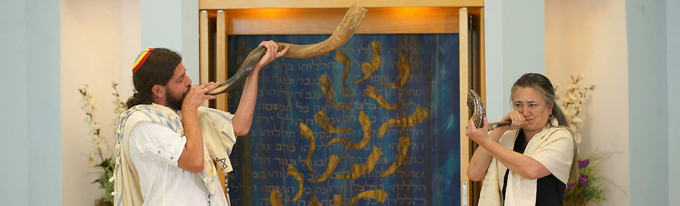 שופר-צר-01.jpeg