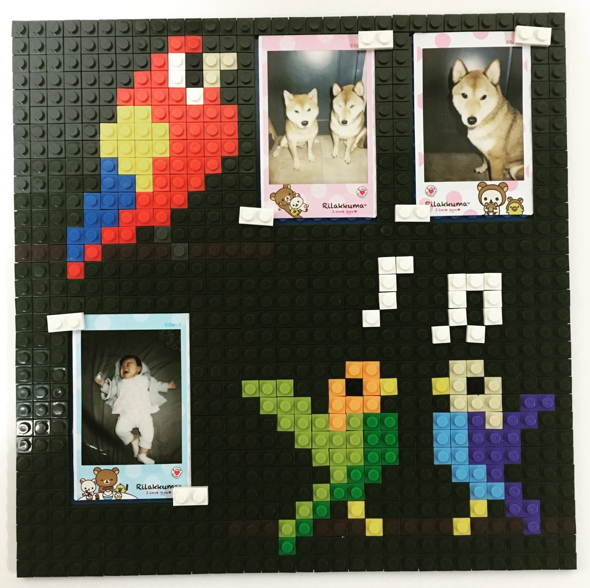 Singing bird photo frame 