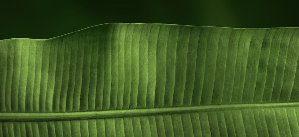 Green Leaf