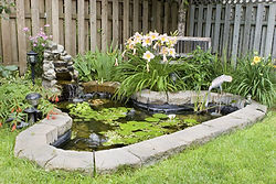 pond