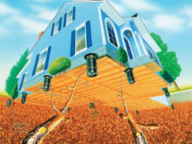 termite monitoring stations around a house