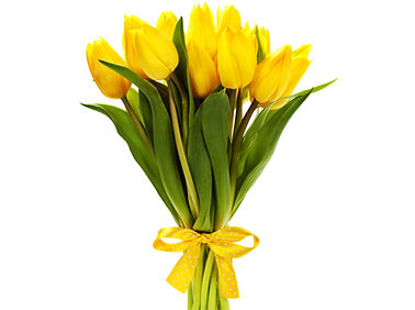 Yellow Tulips