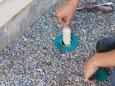 A pest control technician showing the bait of a Sentricon Always Active System