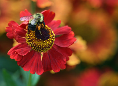 Christina Lake 2017 018 (2) copy.jpg