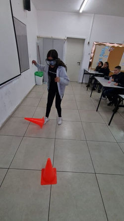 סימולציית אלכוהול1