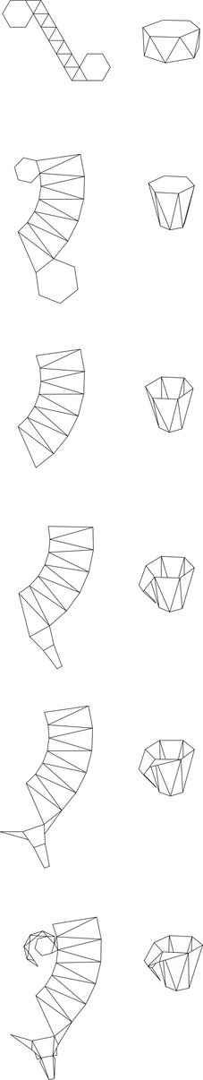 starcup geometry.png