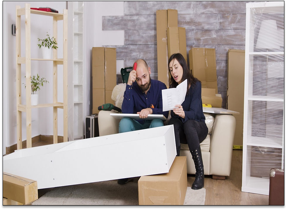 Professional Furniture Movers