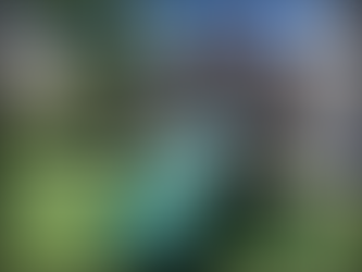 Choosing the Right Playground Assembly Services for Your Needs