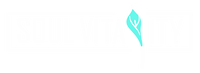Soul Vitality Teal Logo with High Resolution.png