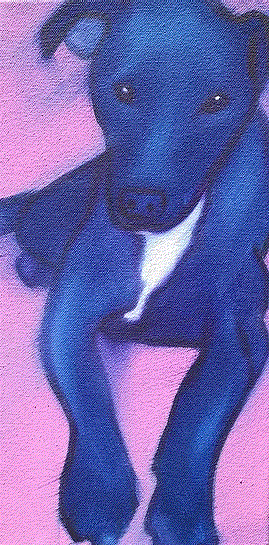 'Puppy Whispa 2' 2016