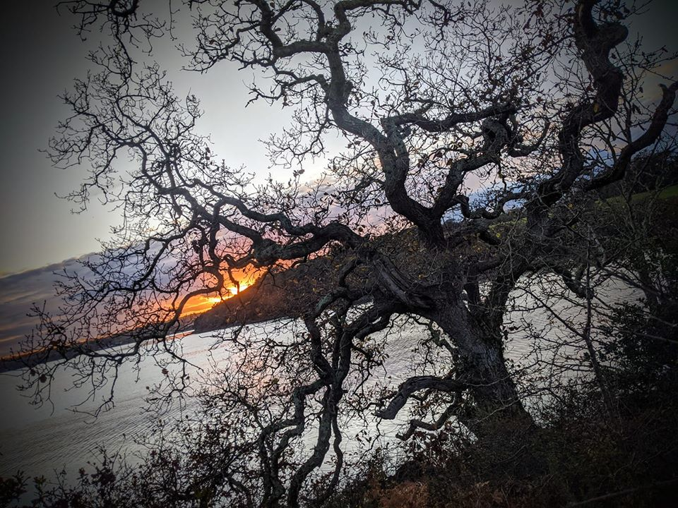 Tree Blessings at Winter Solstice