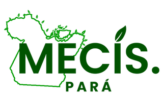 LOGO_MECIS2_FINAL_COLOR.png