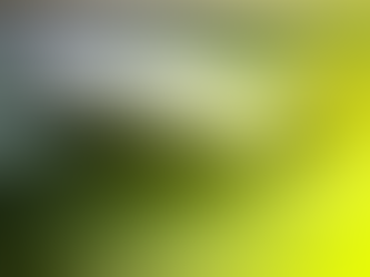 Mitos y educación inclusiva. 10 excusas frecuentes que no debemos creer