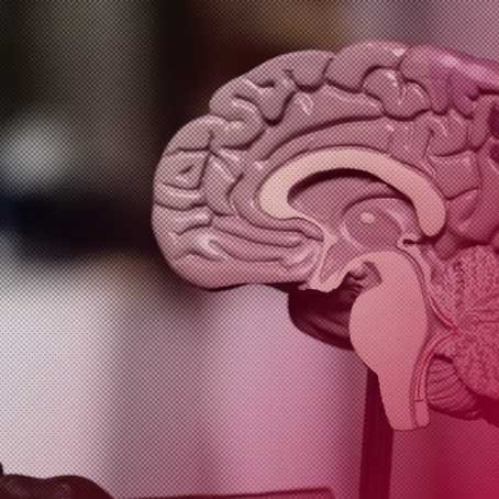 Tengo una enfermedad mental ¿Puedo solicitar la eutanasia o asistencia médica al suicidio? 5 ideas