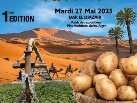 Pommes de terre : vers une Souveraineté Algérienne
