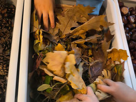 🍂 Sensoryczne 4 Pory Roku 🍂