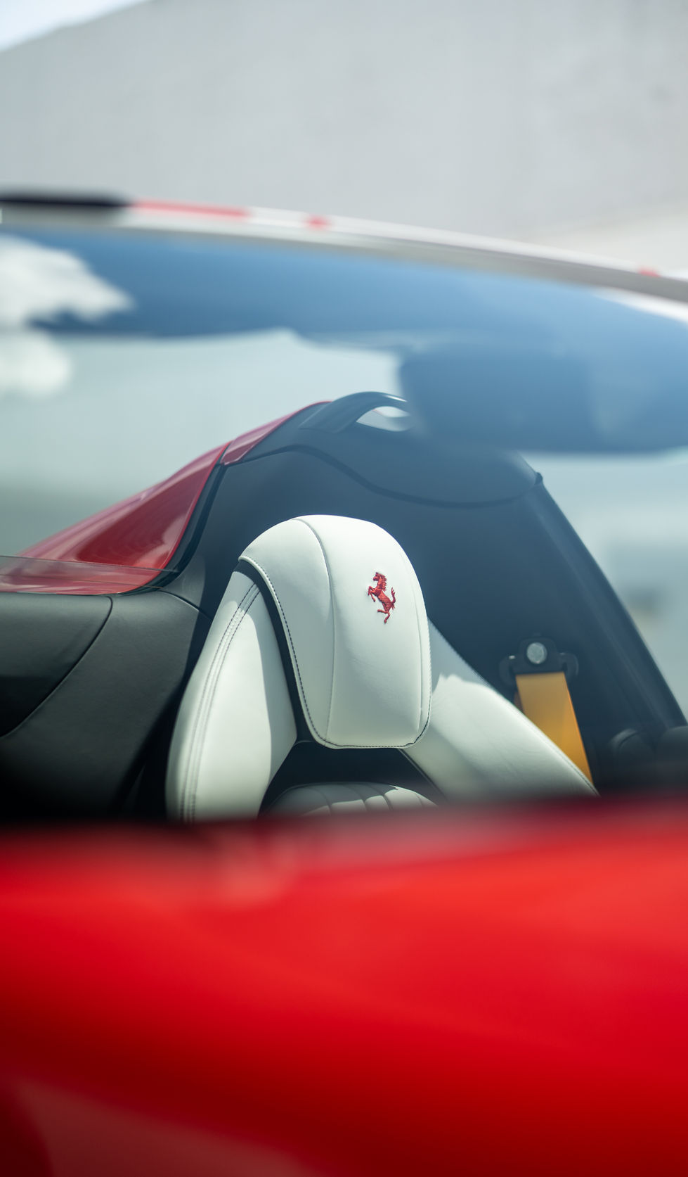 Photo Apr 20 2023, 11 34 25 AM.jpg