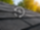 extends life.png