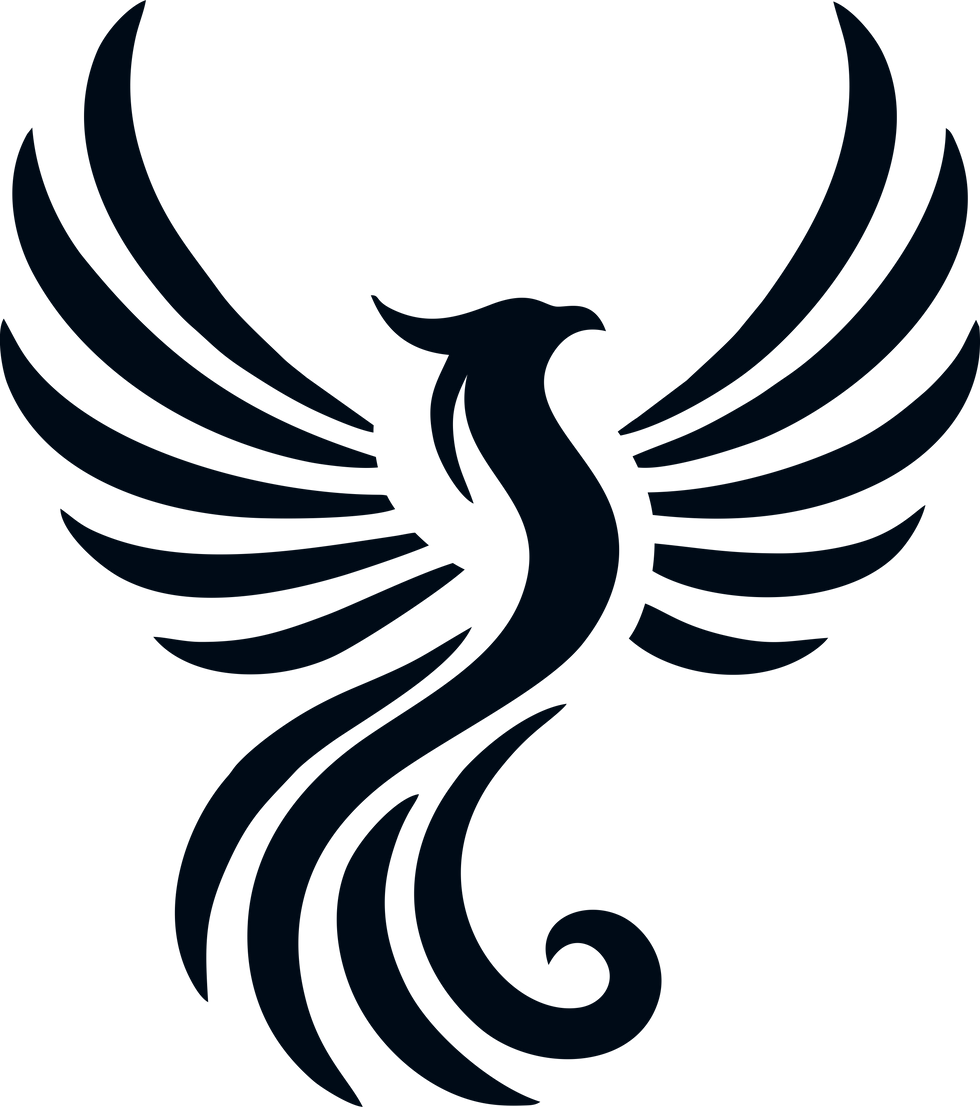 pheonix - rise icon.png