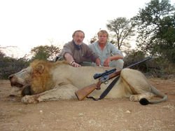 Lion