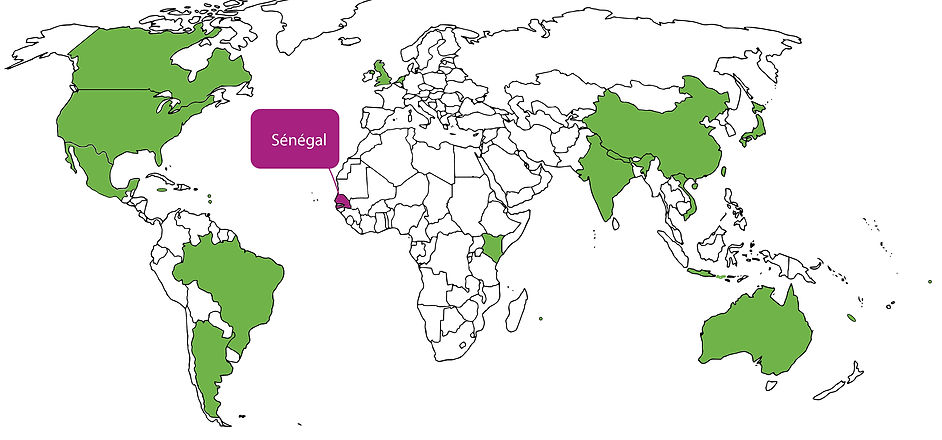 carte-monde-23.jpg