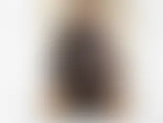 Styles style includes cops