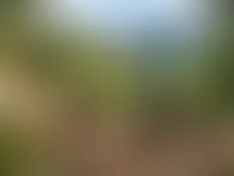 VTT dans les Préalpes d'Azur : itinéraires, niveaux et spots au départ de Saint-Vallier-de-Thiey