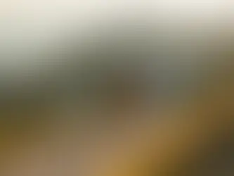 Meilleure période pour randonner dans les Préalpes d’Azur : météo, niveaux et spots près de Saint-Vallier-de-Thiey (depuis Le Relais Impérial)