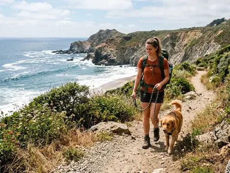 Vacances avec son chien dans l'arrière-pays d'Azur : sentiers, règles et précautions