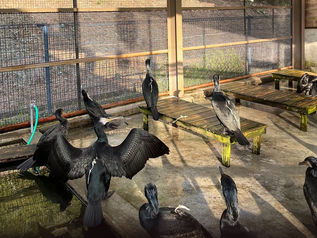 2022年8月27日例会