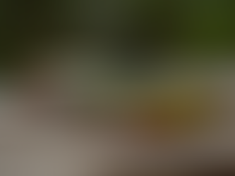 Most Effective Lures for Bass: Unlocking Your Best Catch