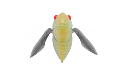 Megabass Grand Siglett Top Water Crawling Cicada | Pine State Tackle