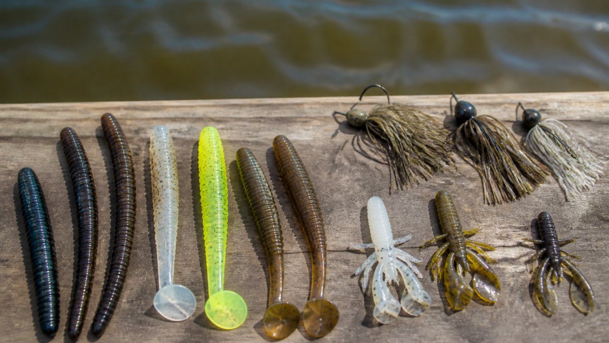 Best Soft Plastic Colors for Stained Water