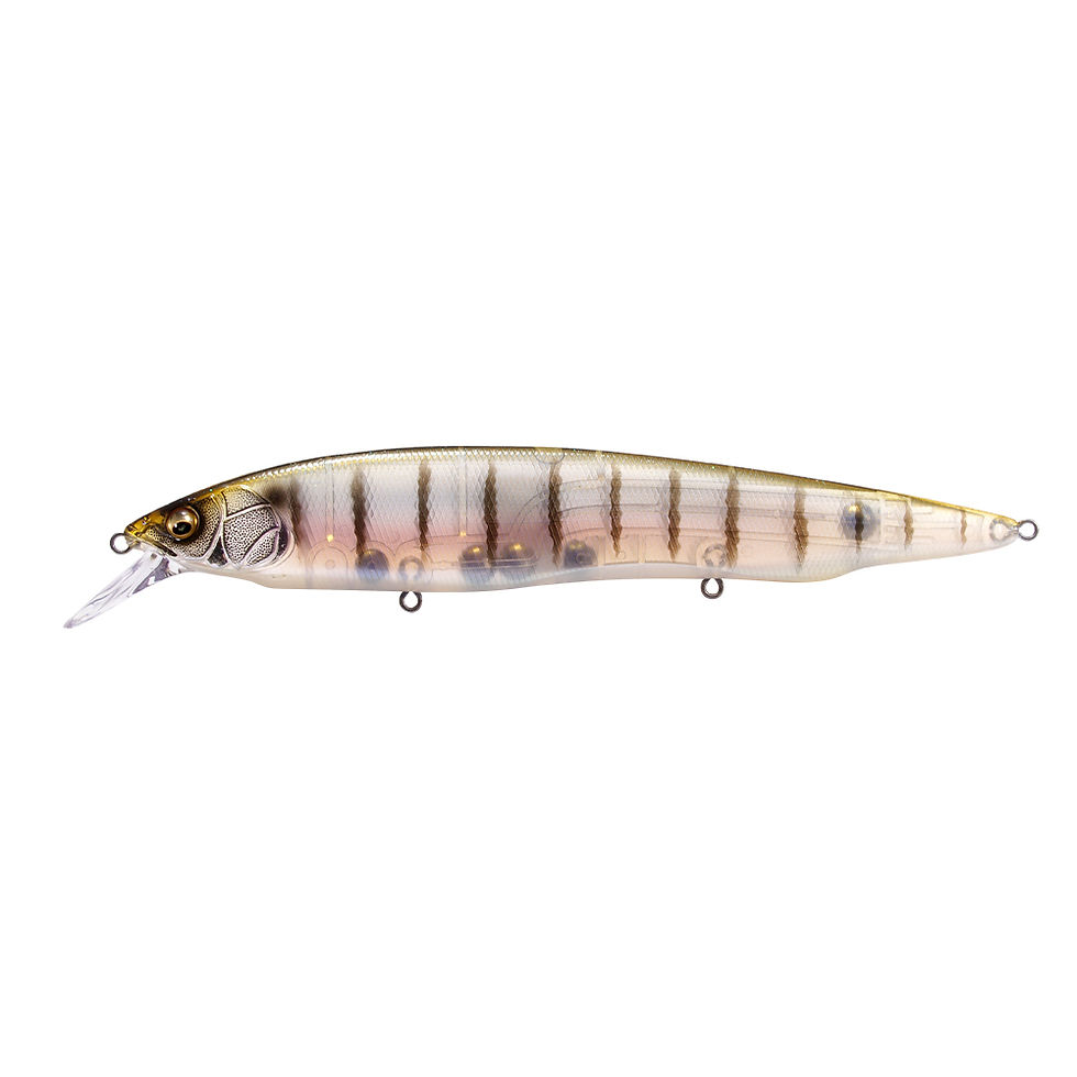 Megabass Kanata Jerkbait
