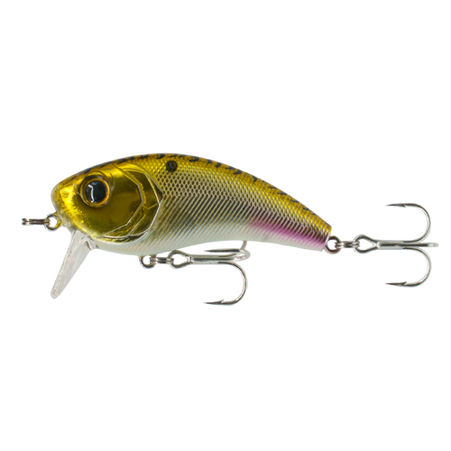 6th Sense Movement 60WK (Saltwater) Wake Bait | Pine State Tackle