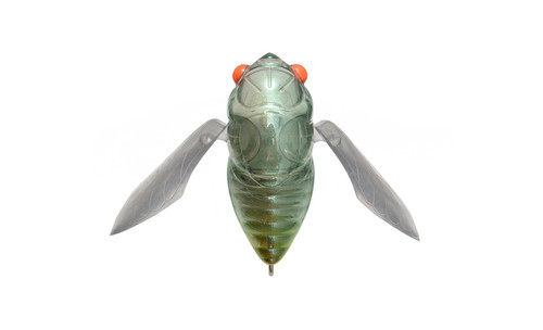 Megabass Grand Siglett Top Water Crawling Cicada | Pine State Tackle