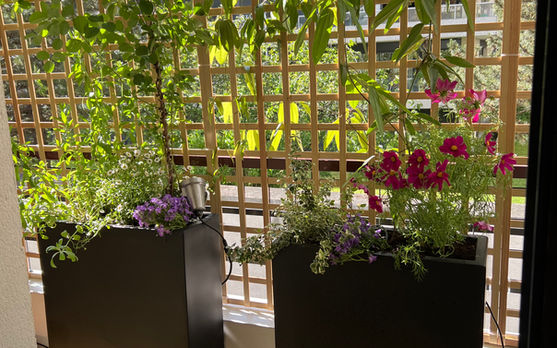 Un balcon avec plancher en bois, banc-coffre sur mesure, bacs et pots et plantes  champêtres à Paris  