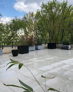 Grande terrasse en dalles d'entreprise avec bacs et pots grandes plantes brise-vue à Boulogne Billancourt,