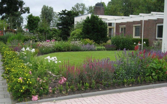 jardin Pays-Bas vivaces graminées 
