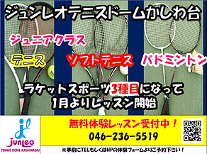テッシュデータ.png