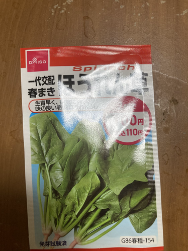 決定! by K.MATSUO