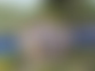 CRIPPA E SILVA CAMPIONI NAZIONALI MTB