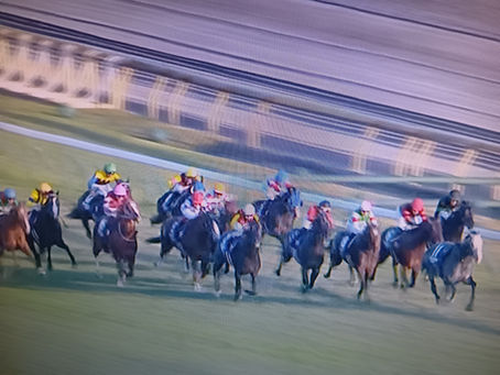 2025年11月30日、東京競馬場において G 1レース ジャパンカップが行われました。結果は20年ぶりの海外最強馬8番カランダガンが優勝 いたしました。🇯🇵