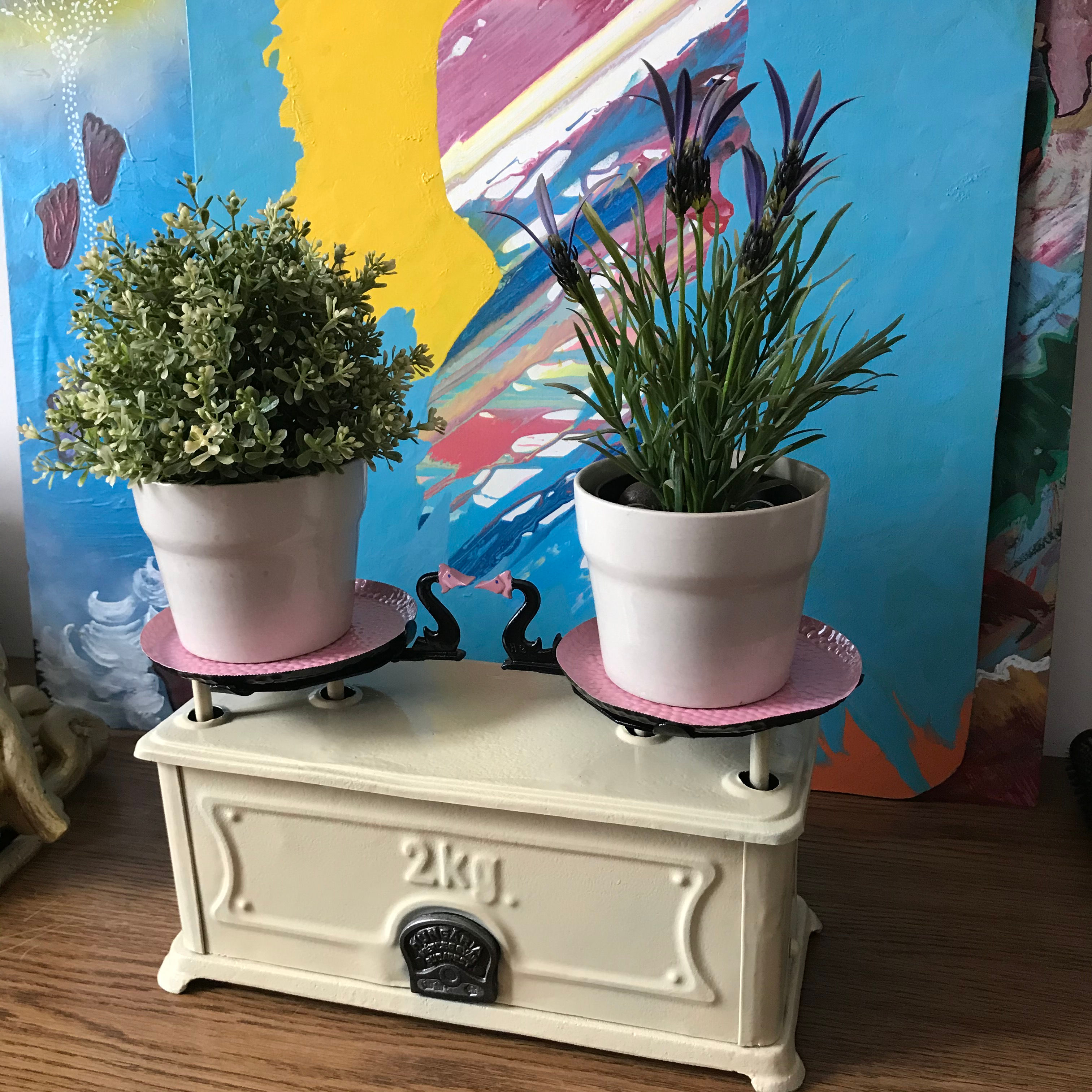 Kitchen scales up-cycled into flower pots