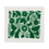 Thumbnail: Green Otomi - Acrylic Frame