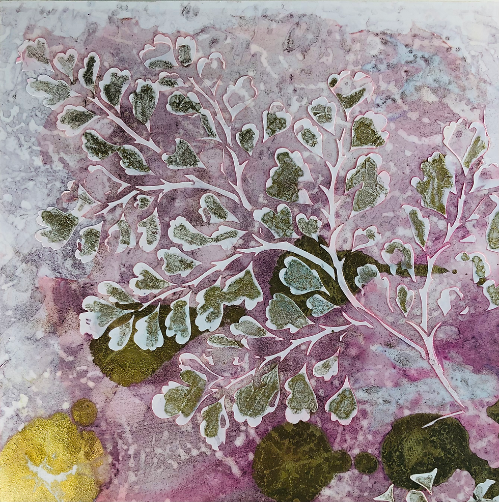 Thumbnail: Pink Fern