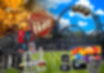 2nd Place prize image collage