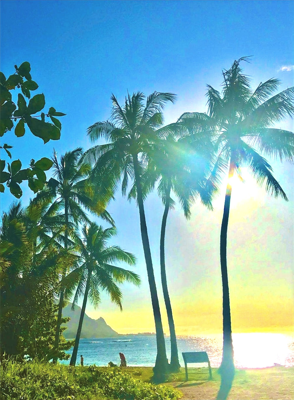 Hanalei Fine Art