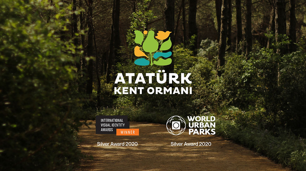 Minimalist Business Cards