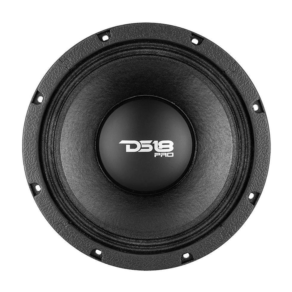 PRO 10" Neodymium Mid-Bass Loudspeaker 1000 Watts Rms 8-Ohm